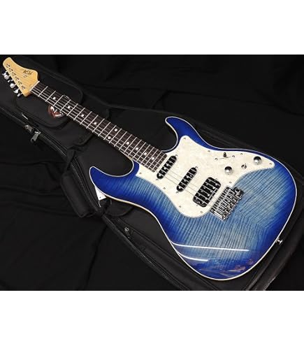 Amazon | FGN FUJIGEN NST100MAH VNT Neo Classic SERIES フジゲン